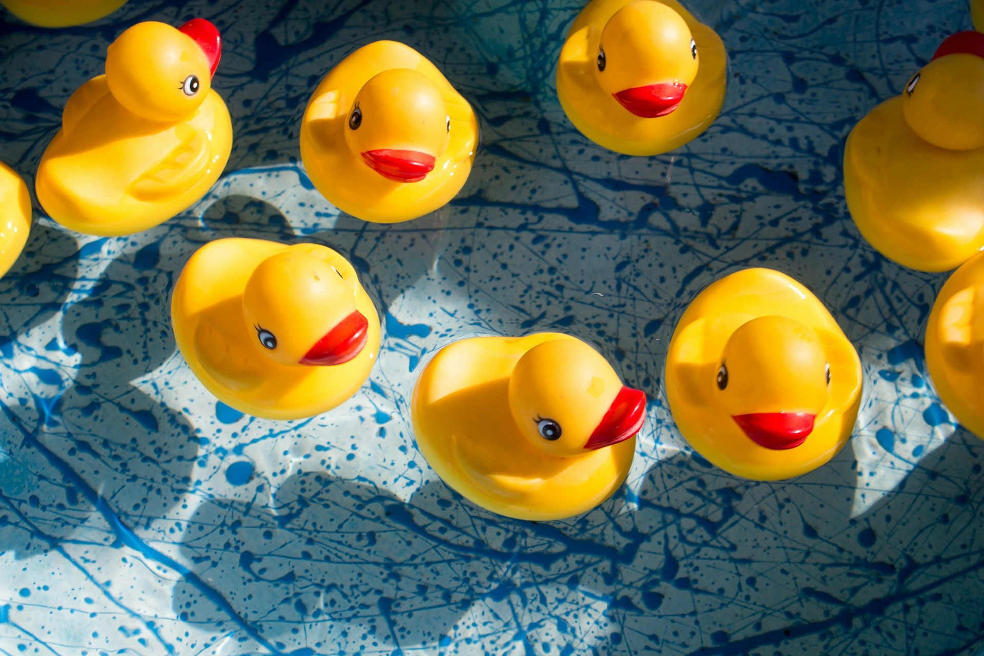 Enten aus Plastik im Wasser